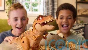 Dinos, diggers and fast cars – the toys tipped to be best sellers this Christmas