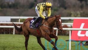 Mullins blow as State Man ruled out for the season