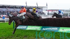 No Panic! Skeltons strike for Paddy Power Gold Cup glory