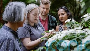 Gardening gifts with learning in mind