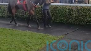 Found A Fifty defends Fortria title