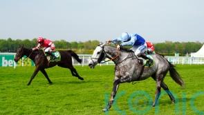 Replendent Grey firmly on course for Newbury Gold run