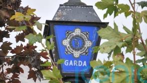 Initial report into fatal plane crash in Co Waterford due within 30 days