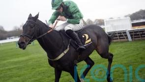 Diamond Hunter sparkles for Chris and Freddie Gordon