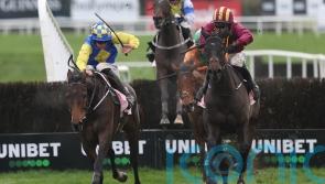 Oh Brother! Famous Punchestown success for Connor and Daniel King