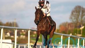 Elliott: Romeo looking good ahead of Drinmore