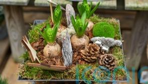 How to make your Christmas bulbs last longer