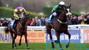 Jagwar team looking forward to Cheltenham Gold run