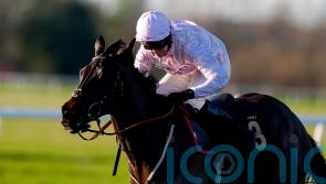 Sixmilebridge looking to continue on right road at Cheltenham