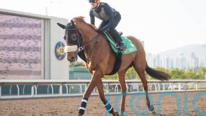 Atzeni hoping stage is set for Giavellotto repeat