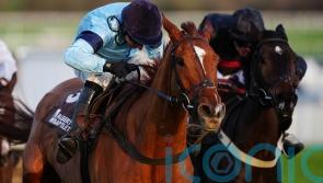 Carlenrig takes narrow Cheltenham verdict for Skelton team