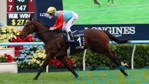 Ka Ying Rising lights up Sha Tin again