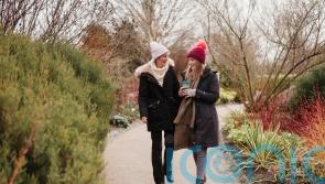 Garden-inspired winter walks to blow the cobwebs away