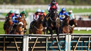 Minella Study already has plenty of boxes ticked for March