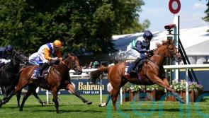 Zavateri the star turn in season to remember for Johnson Houghton