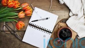 Essential gardening jobs for each month of the New Year