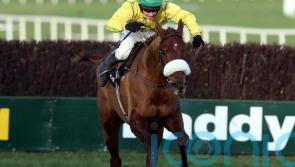 Beef Or Salmon was a Christmas banker at Leopardstown