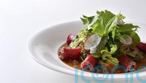 Nobu&rsquo;s sashimi salad with Matsuhisa dressing recipe