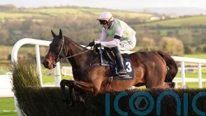 Gaelic Warrior and Fact To File battling to be Kempton firsts in heavyweight rematch