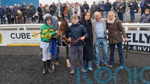 Ballybawn Belter back on form with Limerick success