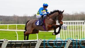 Minella Yoga bursts into Triumph Hurdle picture