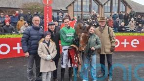 Hurdles return sees El Fabiolo back on winning form