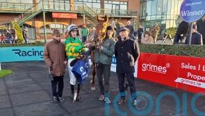 Dinoblue shrugs off last-fence drama in Fairyhouse victory