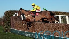 Vanderpoel doubles up with Sandown strike