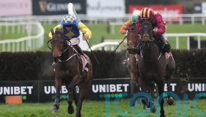 Oscars Brother poised for debut in McManus silks