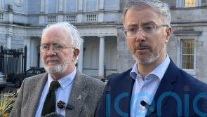 Government needs to confirm &lsquo;today&rsquo; AI legislation strong enough &ndash; Green Party