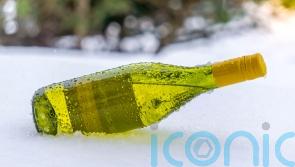 6 winter whites to perk up your palate