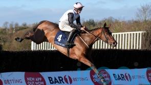 Kala Conti looks set for Grade One appearance at Sandown