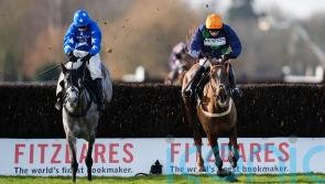 No Questions Asked strikes Lightning gold