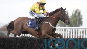 Konfusion and Myretown putting Gold Cup dreams on the line