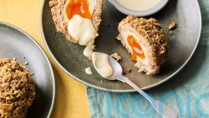 Sophie Richards&rsquo; high-protein scotch eggs recipe