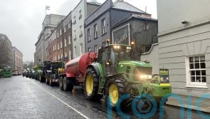 Tractors protest held outside Leinster House as Bord Bia chairman urged to quit