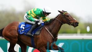 Inothewayurthinkin given clean bill of health following last-fence fall