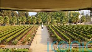 6 superb South American wines to swoon over