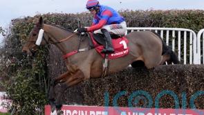 National dream not over for Mr Vango after Sandown blip