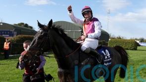 Haiti Couleurs primed for Denman Chase tilt