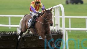 Zanoosh goes whoosh at Navan