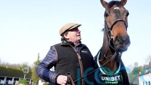 Constitution Hill at risk of missing Southwell cut