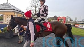 Heads Up back on song on home turf