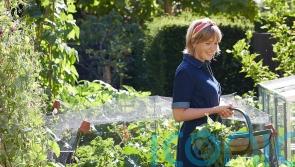 The best gardening jobs to boost wellbeing in spring
