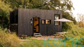 Digital detoxing in the Hertfordshire woods: Here&rsquo;s how I survived without my smartphone