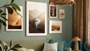 9 ways to create a country living vibe