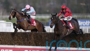 Jax Junior has graded glory in his sights in Pendil