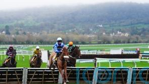 One Horse Town bidding to warm up for Triumph with Adonis glory