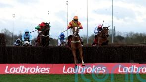 Lookaway lands big gamble in Ladbrokes Trophy