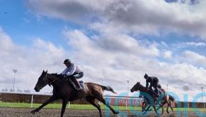 Henderson confident he has big guns firing for opening day of Cheltenham